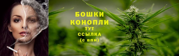 PSILOCYBIN Карпинск