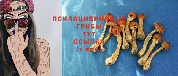 PSILOCYBIN Карпинск