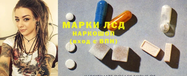 PSILOCYBIN Карпинск