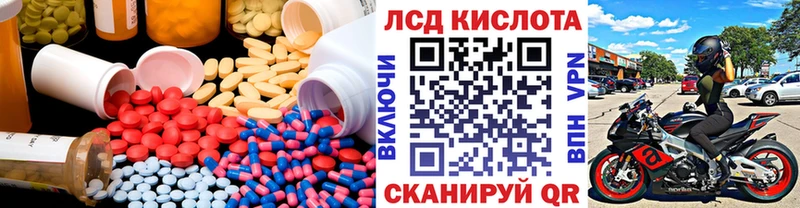 купить наркотик  Каргополь  KRAKEN как войти  ЛСД экстази кислота 