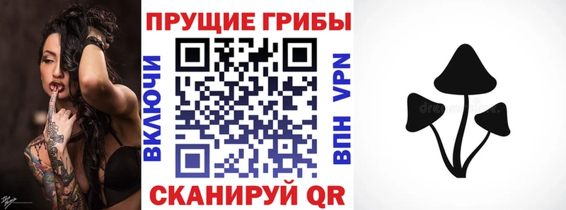 ссылка на мегу   Каргополь  Галлюциногенные грибы Cubensis 